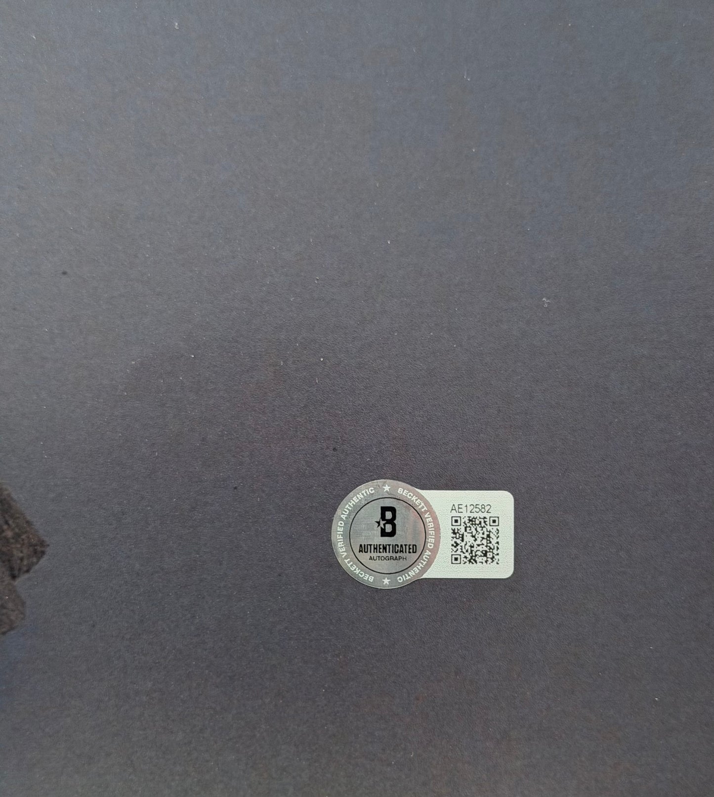 Sir Ian Mckellen Signed LOTR 16x20” Photo With Rare Character Name - Full Beckett Letter Of Authenticity