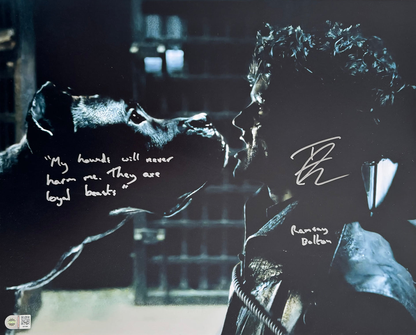 Iwan Rheon Signed Game Of Thrones 16x20” Photo With Quote - SWAU Authenticated