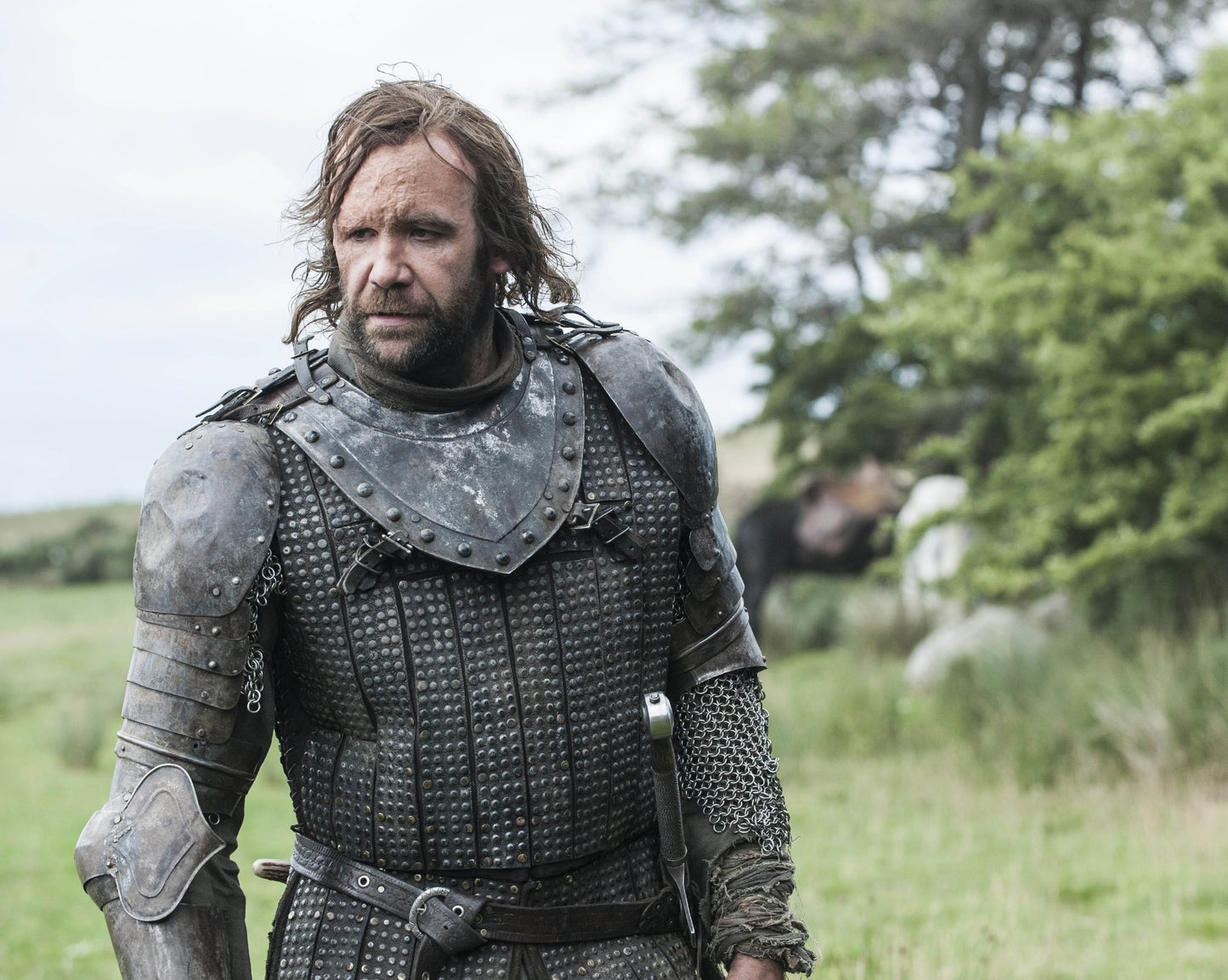 Rory McCann Signed Game Of Thrones Photo Version 17 (Pre Order)