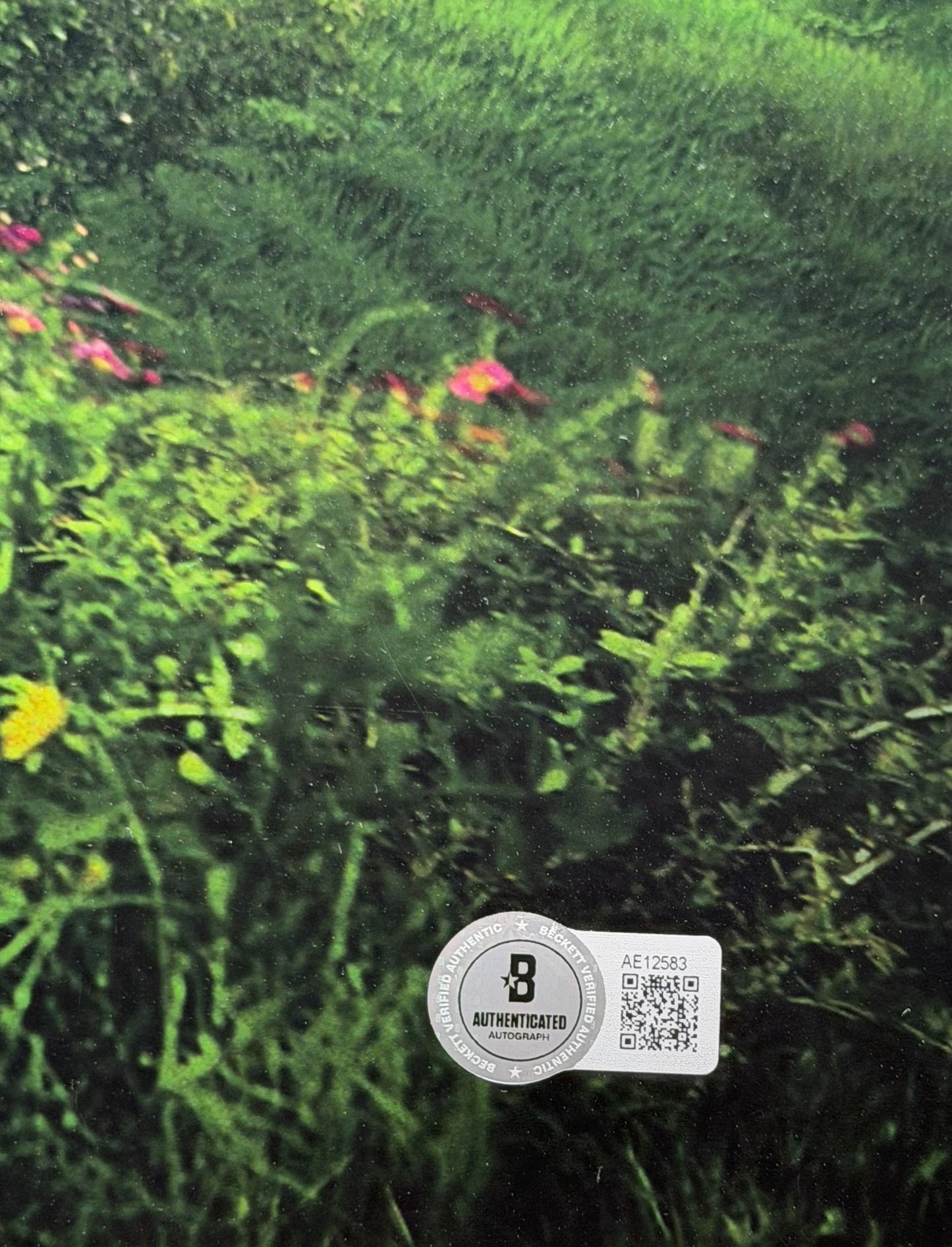 Sir Ian Mckellen Signed The Hobbit 16x20” Photo - Full Beckett Letter Of Authenticity