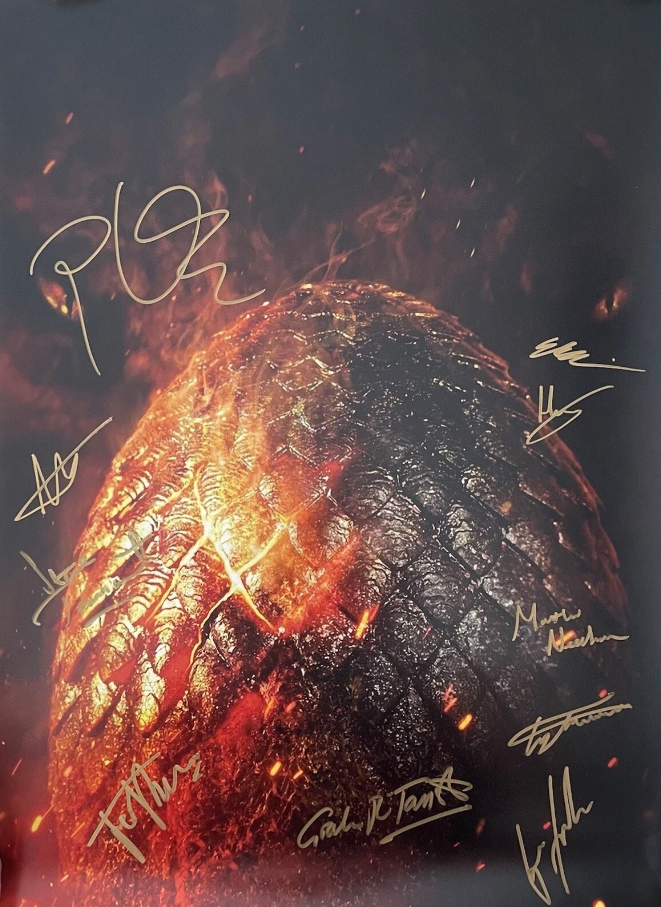 10 Cast Multi Signed House Of The Dragon Textless A2 Project Starter Poster