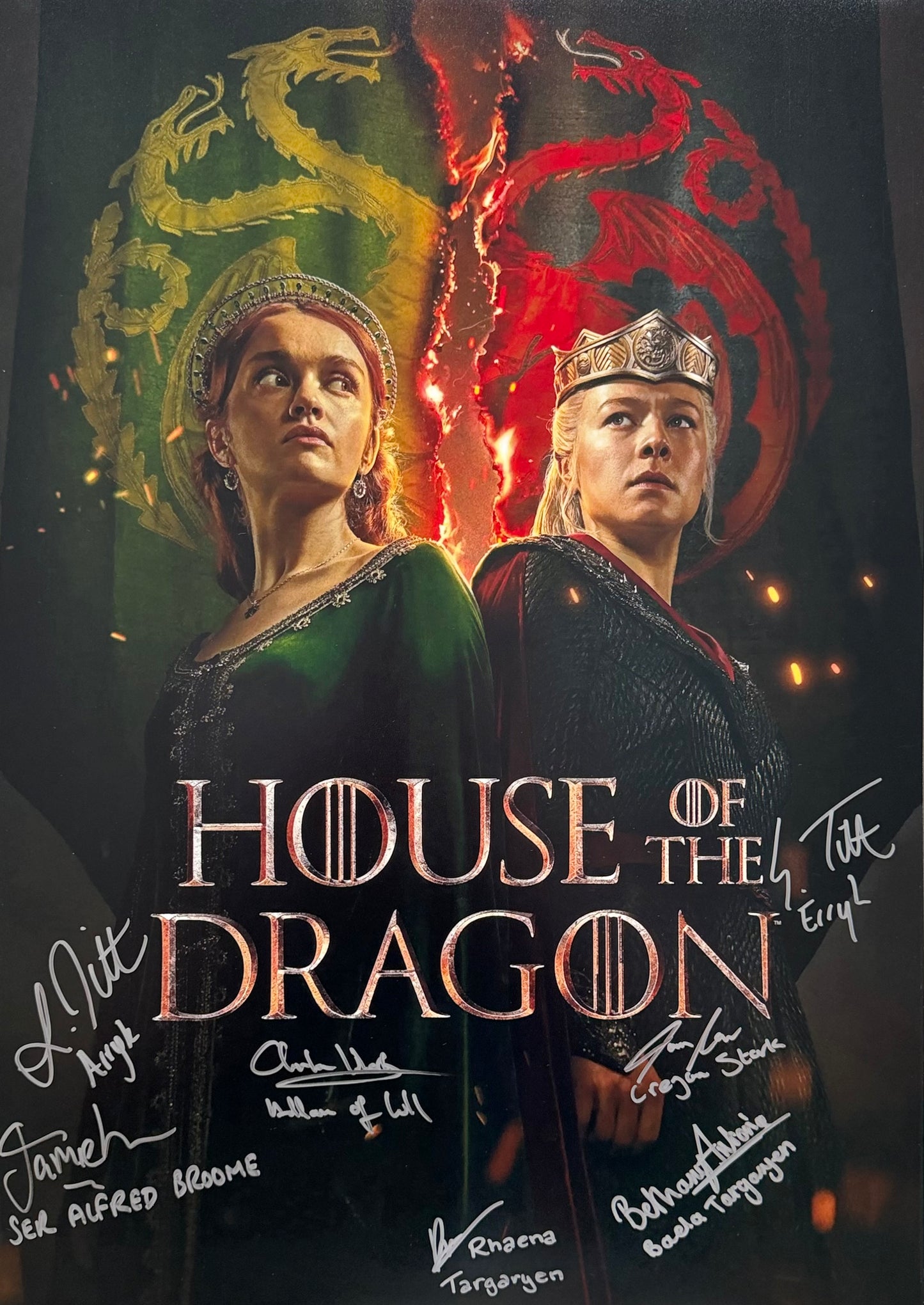 9 Cast Multi Signed House Of The Dragon A2 Project Starter Poster