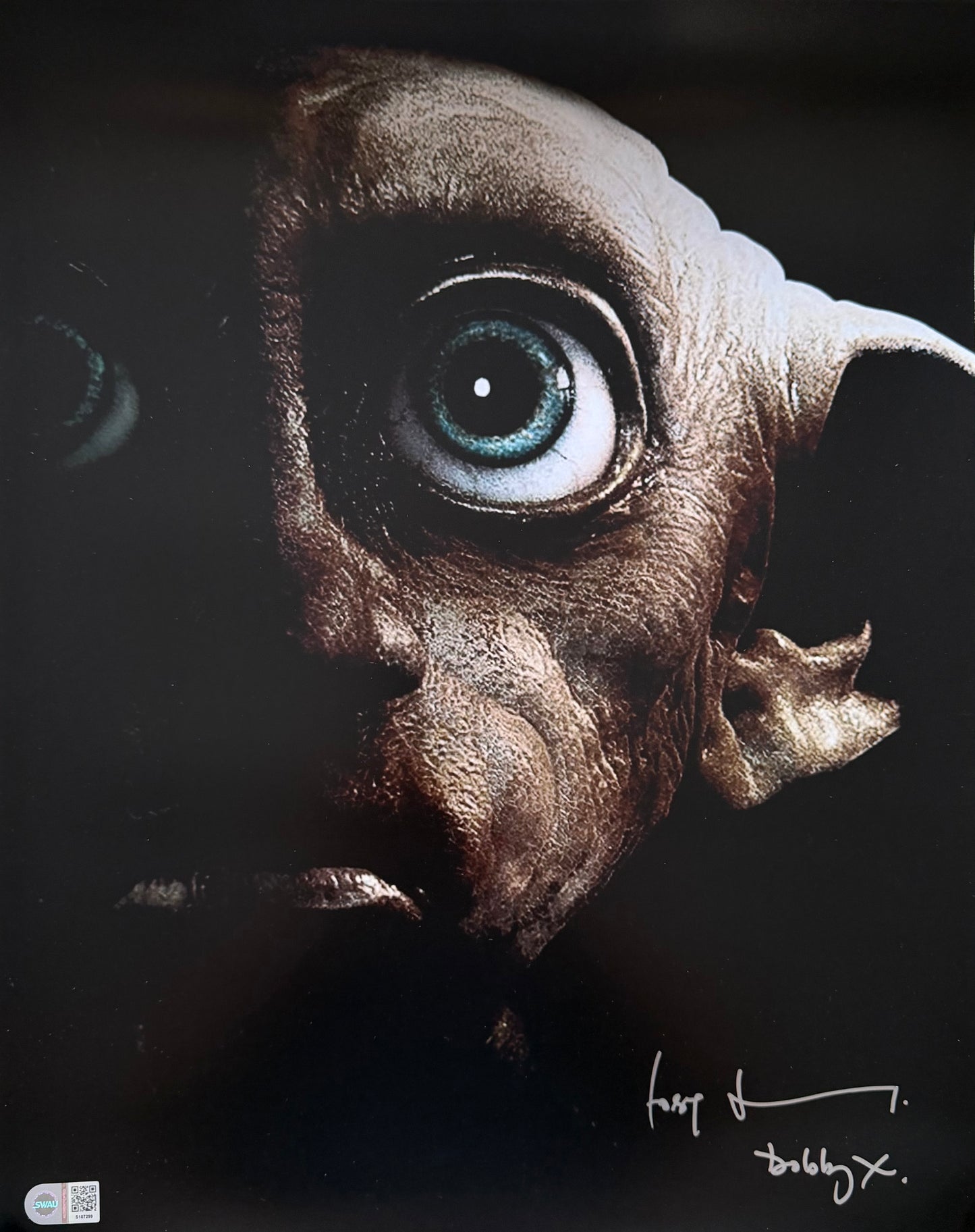 Toby Jones Signed Harry Potter 16x20” Photo - SWAU Authenticated