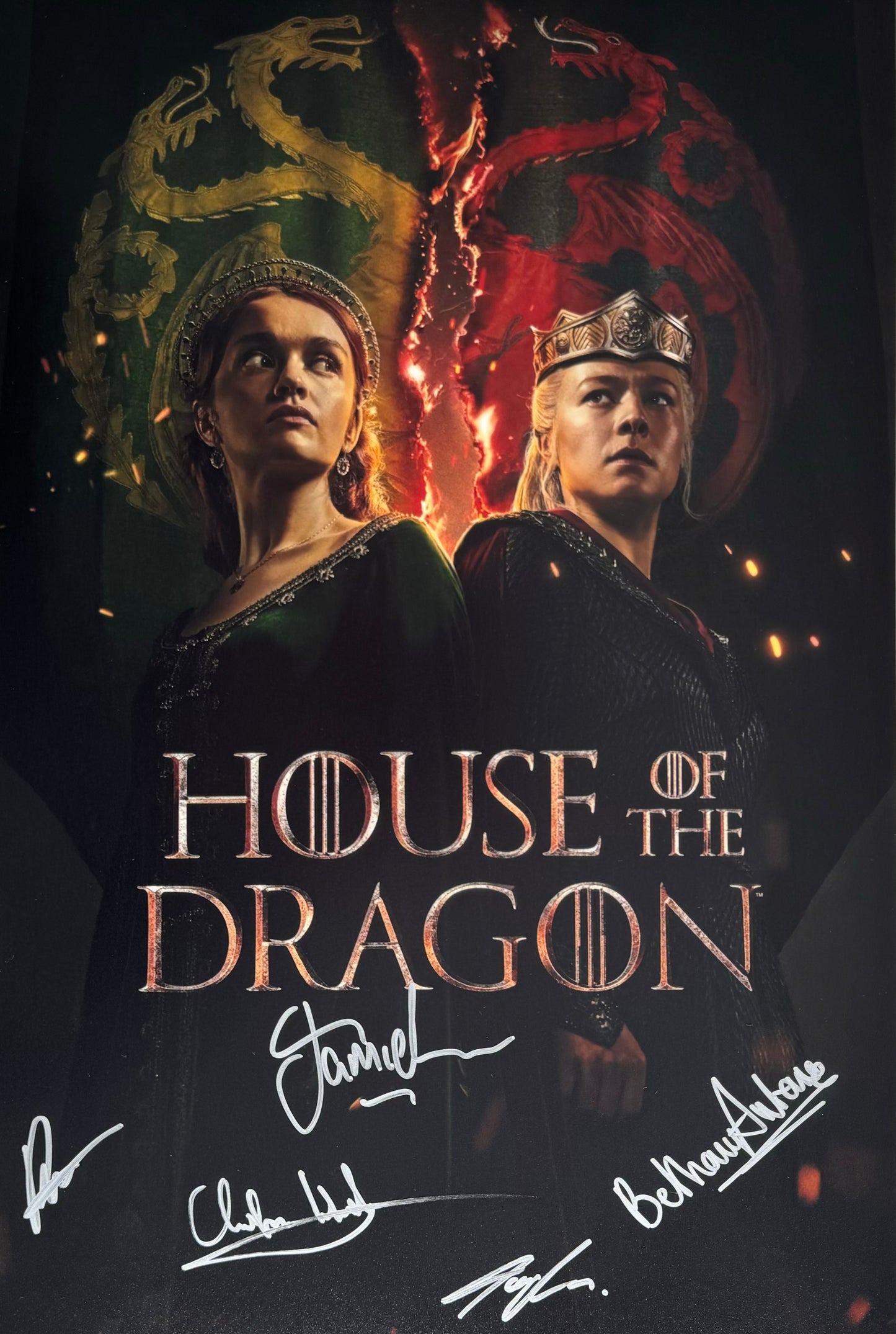 Multi Signed House Of The Dragon 12x18” Project Starter Poster