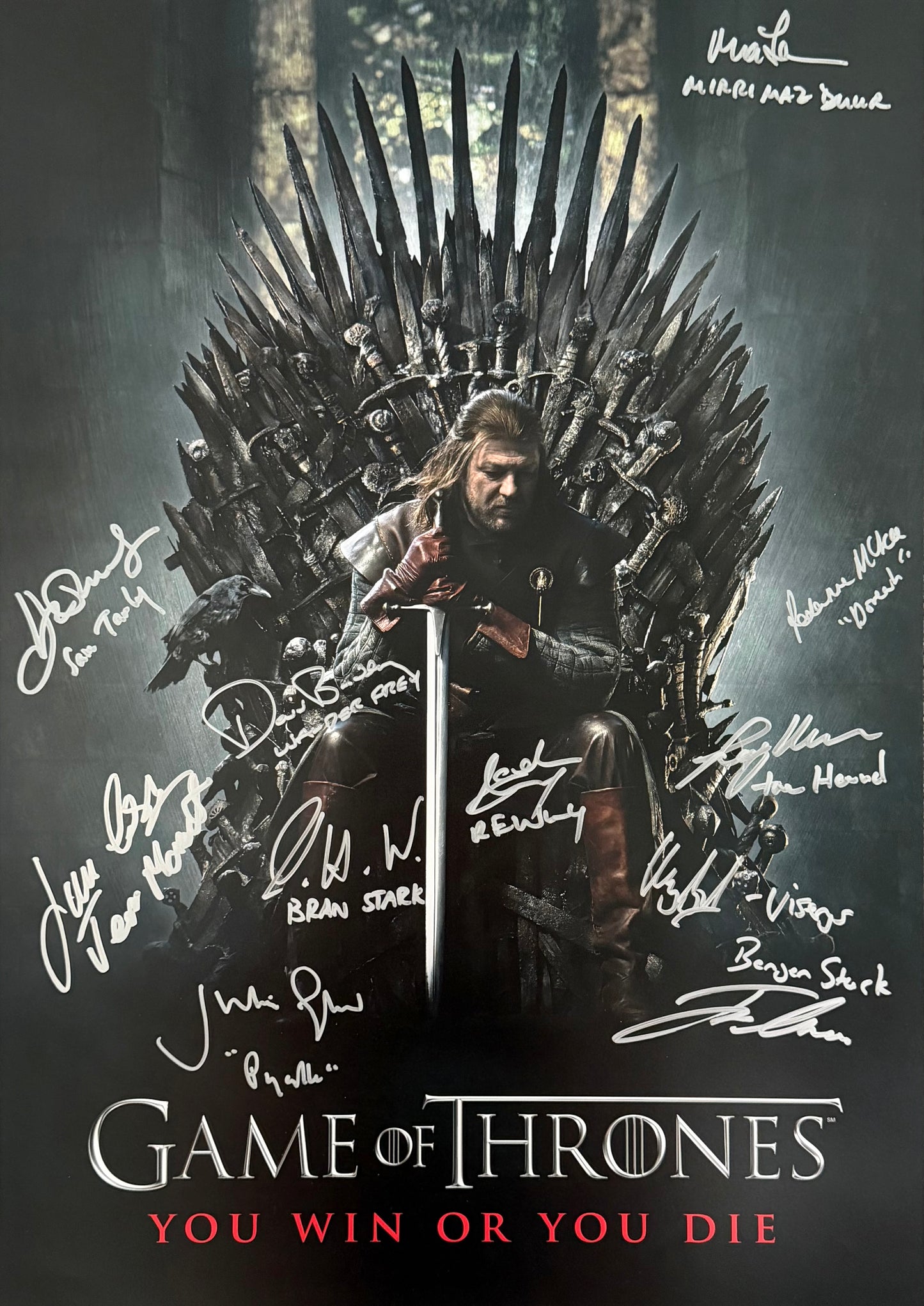 Multi 11 Cast Signed Game Of Thrones Season 1 A2 Project Poster