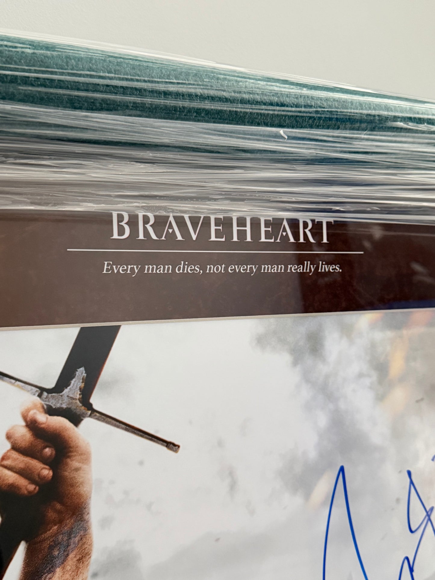 Mel Gibson Signed Braveheart Large Framed Montage - HUGE 25cm Autograph!