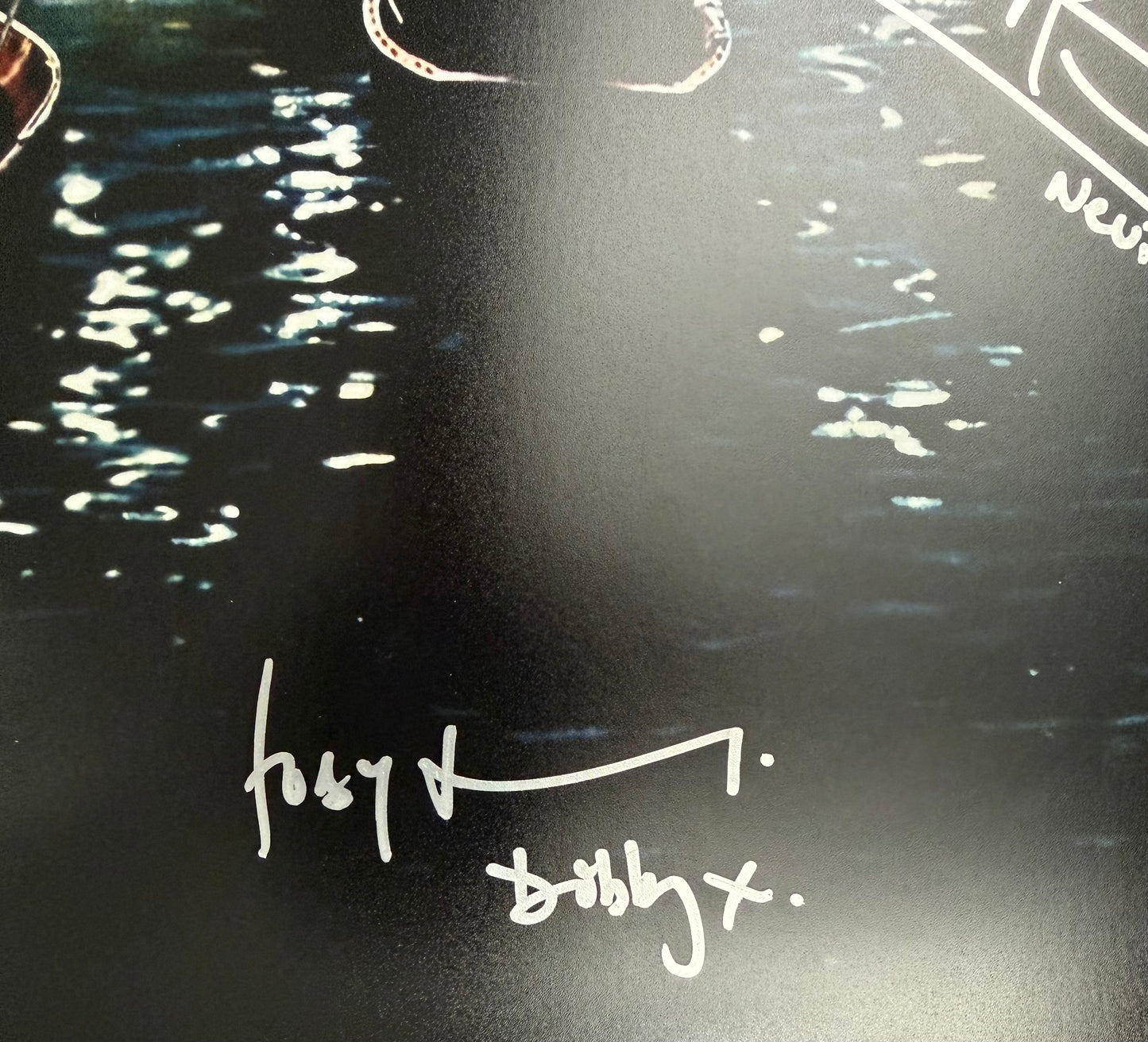 Multi 3 Cast Signed Harry Potter Project Starter Maxi Poster