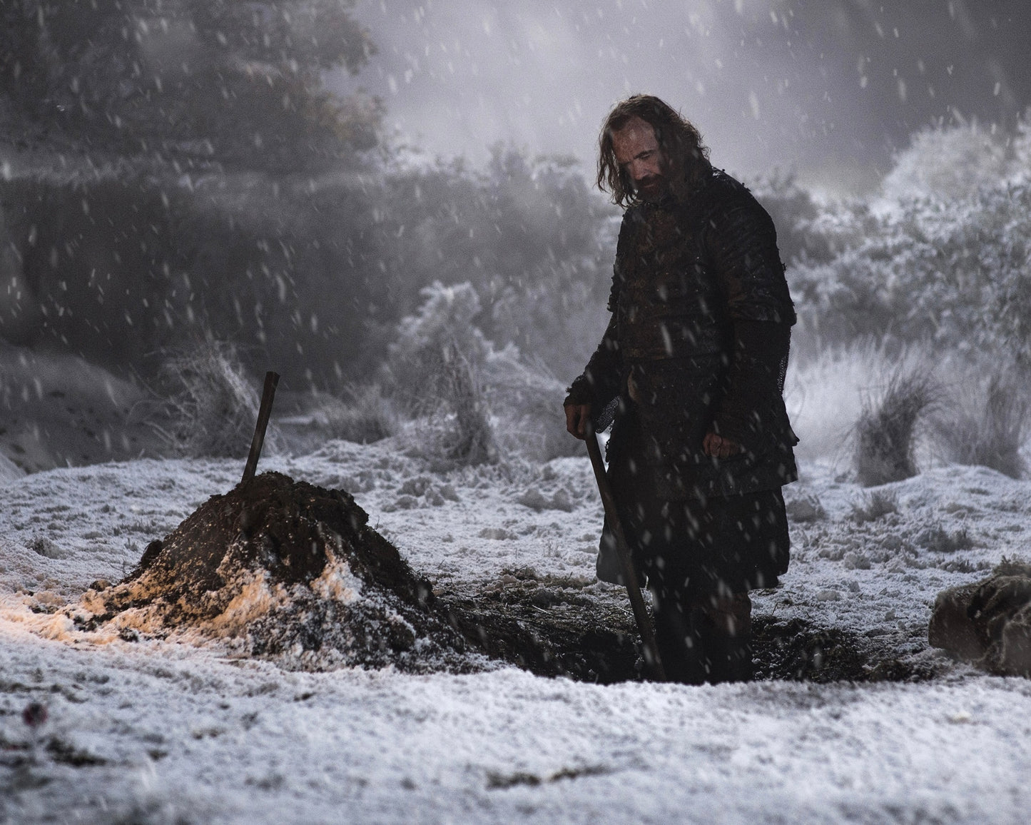Rory McCann Signed Game Of Thrones Photo Version 8 (Pre Order)