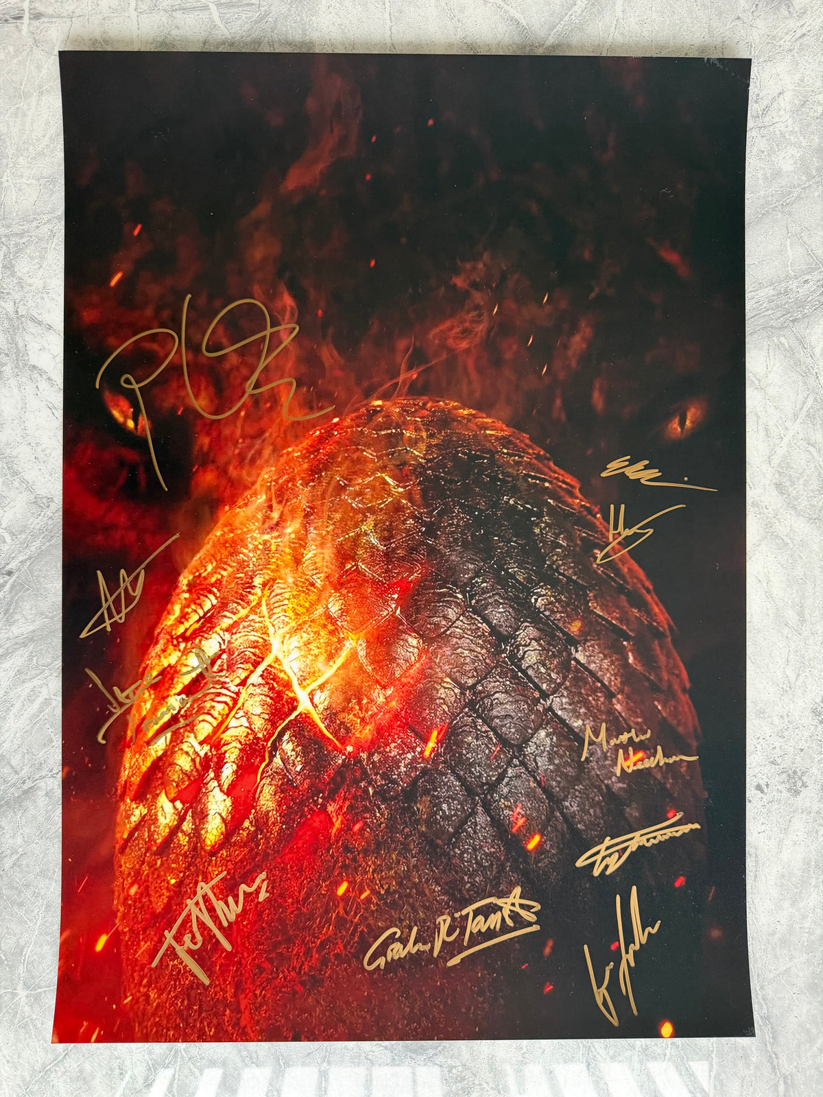 10 Cast Multi Signed House Of The Dragon Textless A2 Project Starter Poster