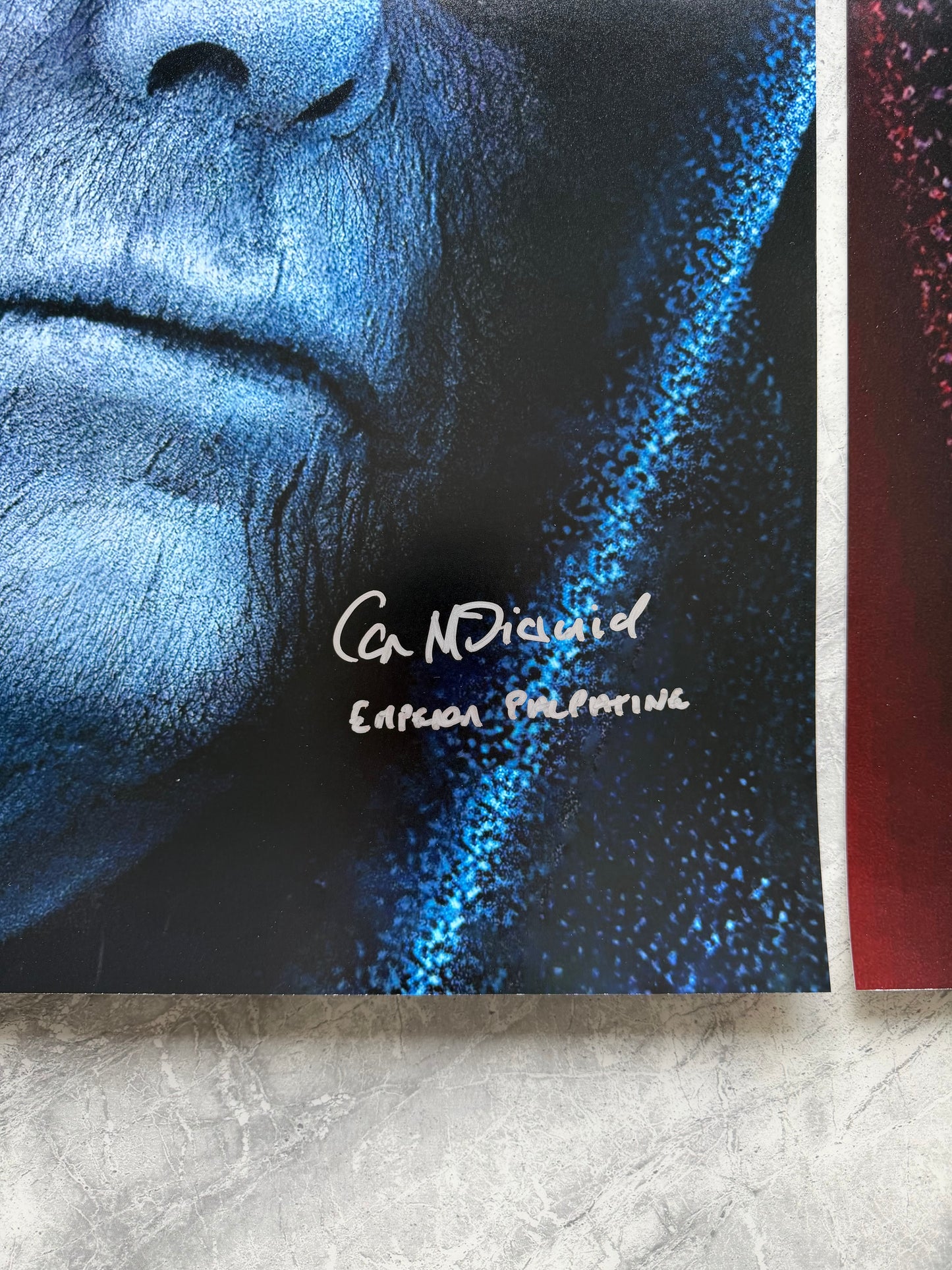 Ian McDiarmid & Ray Park Signed A2 Star Wars Posters - SWAU Authenticated