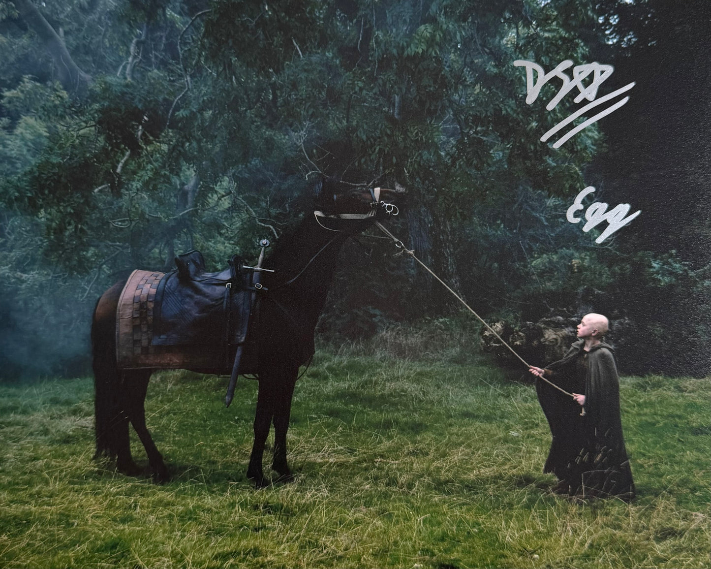 Dexter Sol Ansell Signed AKOT7K 8x10” Photo