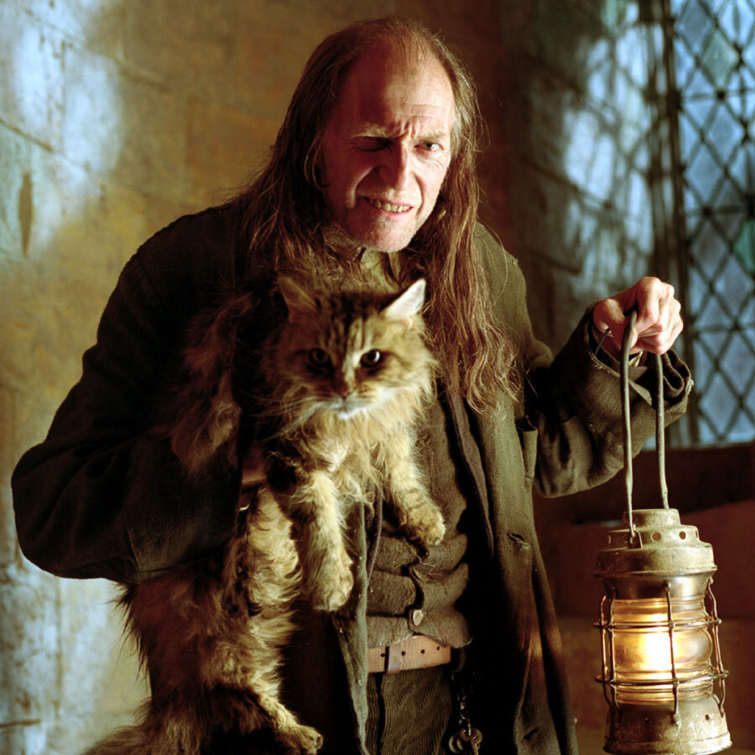 David Bradley Comic Con Consignment Send In Option (Pre Order)