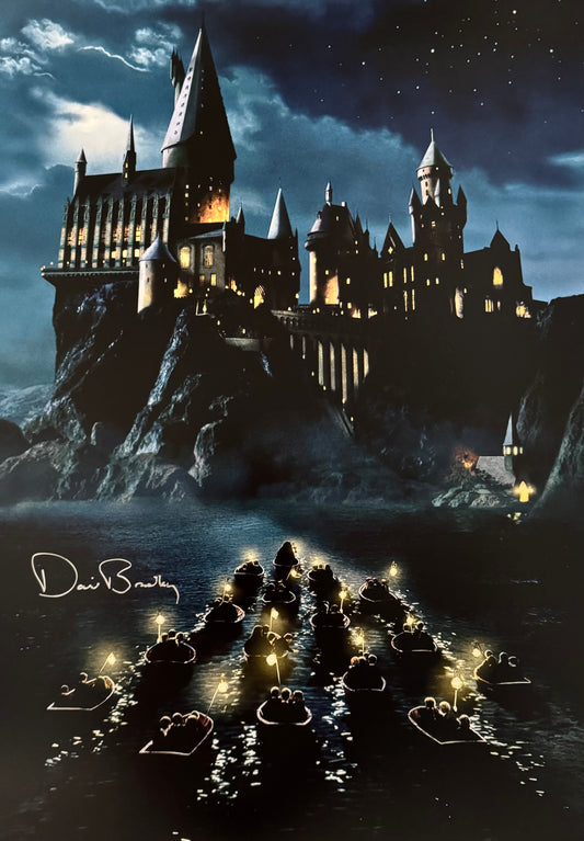 David Bradley Signed Harry Potter A2 Project Starter Poster